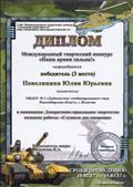 Диплом победителя (3 место)  международного творческого конкурса «Наша армия сильна!», в номинации декоративно – прикладного творчества, название работы «Служили два товарища»  15.03.2017г.