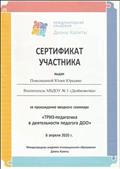 

Сертификат участника вводного семинара «ТРИЗ- педагогика, в деятельности педагога ДОО». 06.04.2020г.